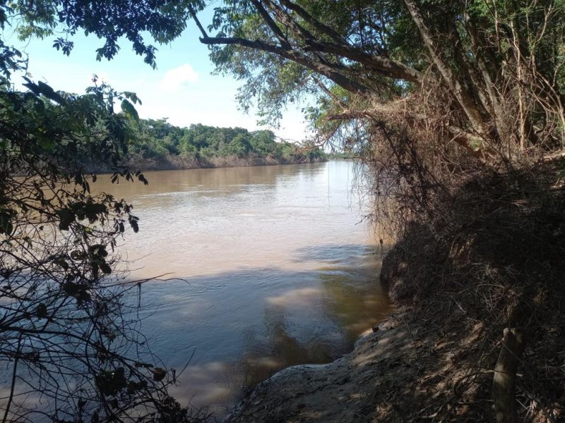 Fazenda - Venda - Zona Rural - Brasilndia de Minas - MG