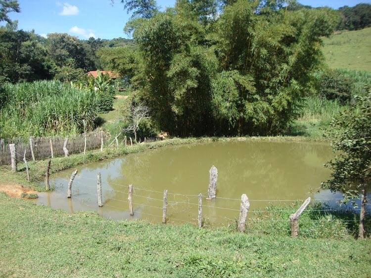 Fazenda - Venda - rea Rural - Brumadinho - MG