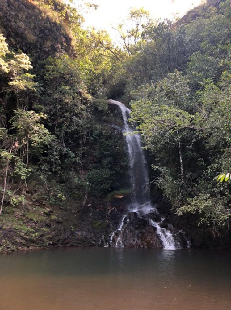 Fazenda - Venda - Zona Rural - Coromandel - MG