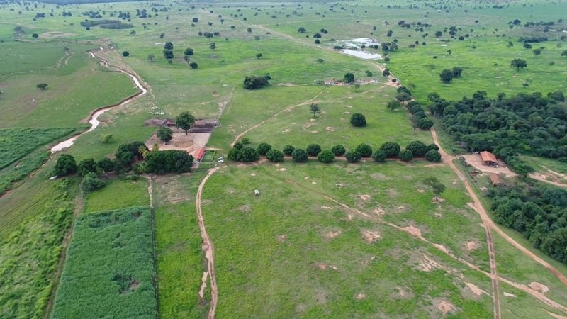 Fazenda - Venda - Zona Rural - Pedras de Maria da Cruz - MG