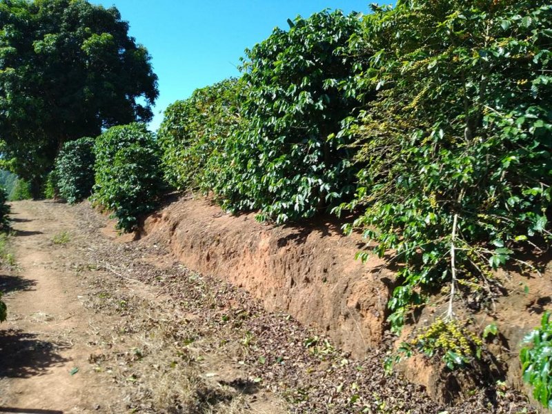 Fazenda - Venda - Zona Rural - Guaxup - MG