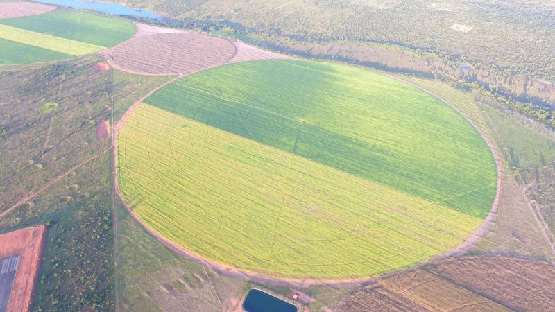 Fazenda - Venda - Zona Rural - Joo Pinheiro - MG