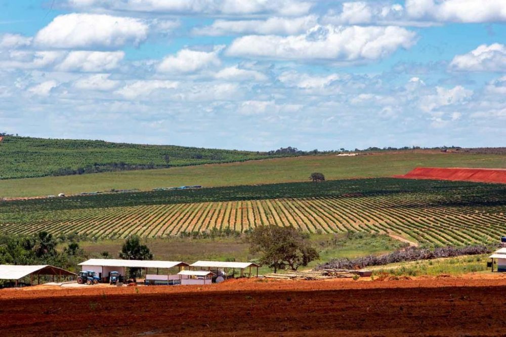 Fazenda - Venda - Zona Rural - Augusto de Lima - MG