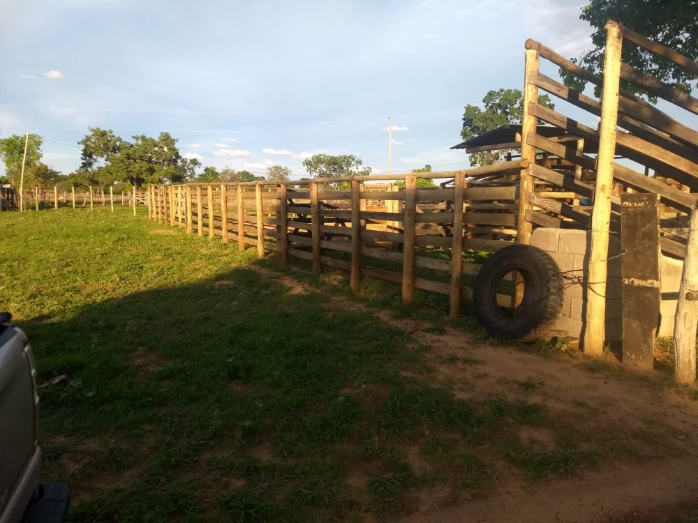 Fazenda - Venda - Zona Rual - Januria - MG