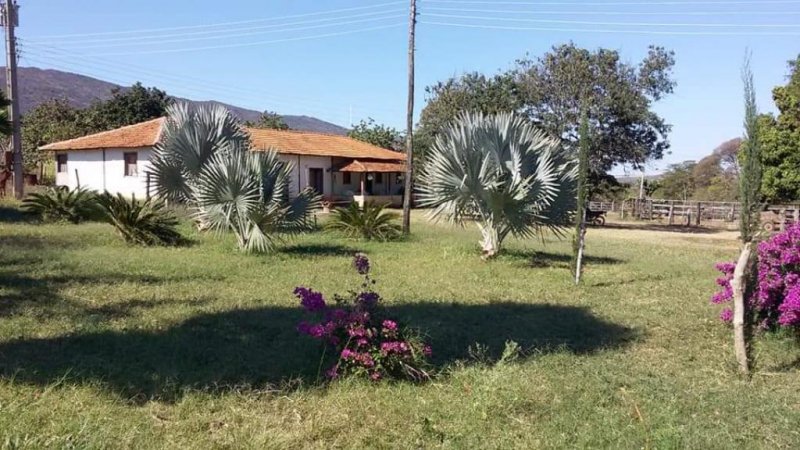 Fazenda - Venda - Zona Rural - Augusto de Lima - MG