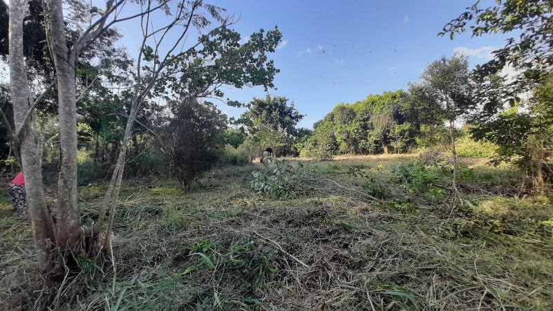 Chcara - Venda - Zona Rural - So Joaquim de Bicas - MG