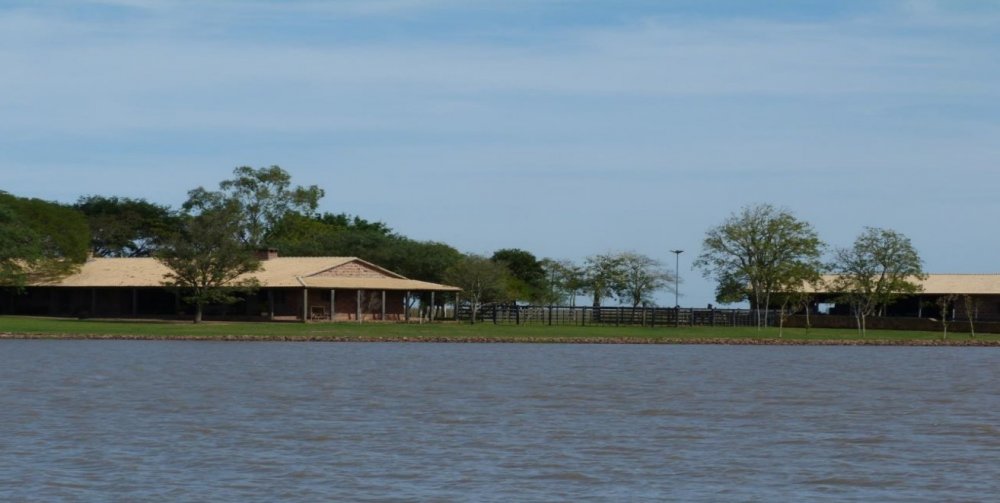 Fazenda - Venda - rea Rural de Uruguaiana - Uruguaiana - RS