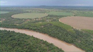 Fazenda - Venda - rea Rural de Paracatu - Paracatu - MG