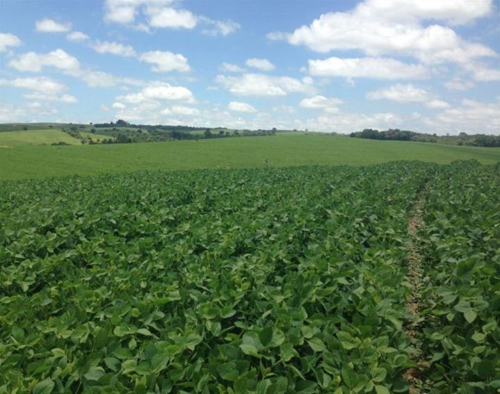 Fazenda - Venda - rea Rural de Itapetininga - Itapetininga - SP