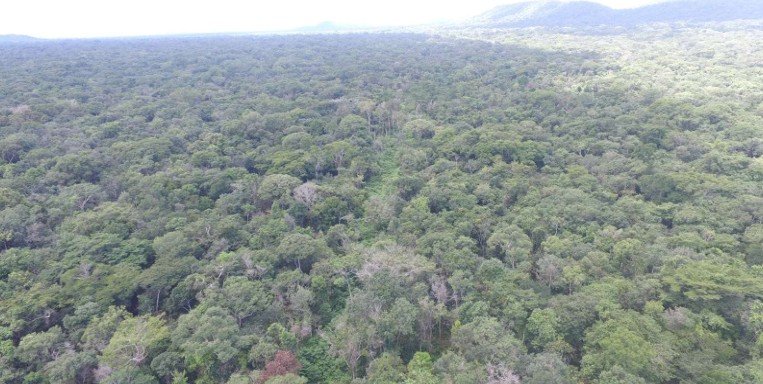 Fazenda - Venda - Zona Rural - Confresa - MT