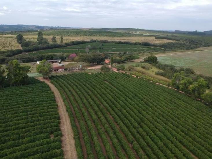 Fazenda - Venda - Zona Rural - Oliveira - MG