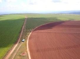 Fazenda - Venda - rea Rural de Planaltina - Planaltina - GO