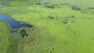 Fazenda - Aluguel - Zona Rural - Pocon - MT