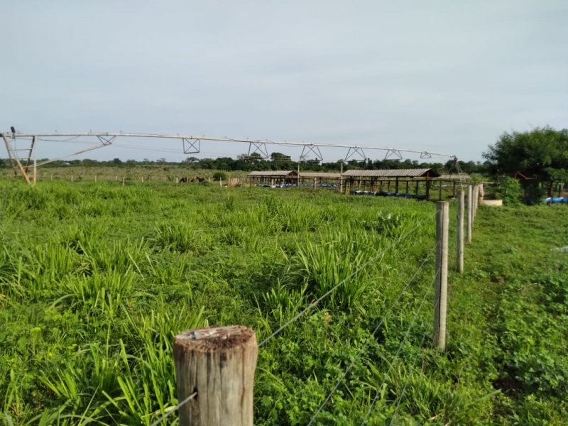 Fazenda - Venda - Zona Rural - So Francisco - MG