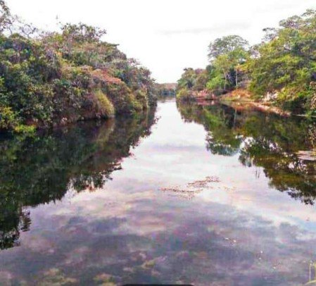 Fazenda - Venda - Zona Rural - Montalvnia - MG