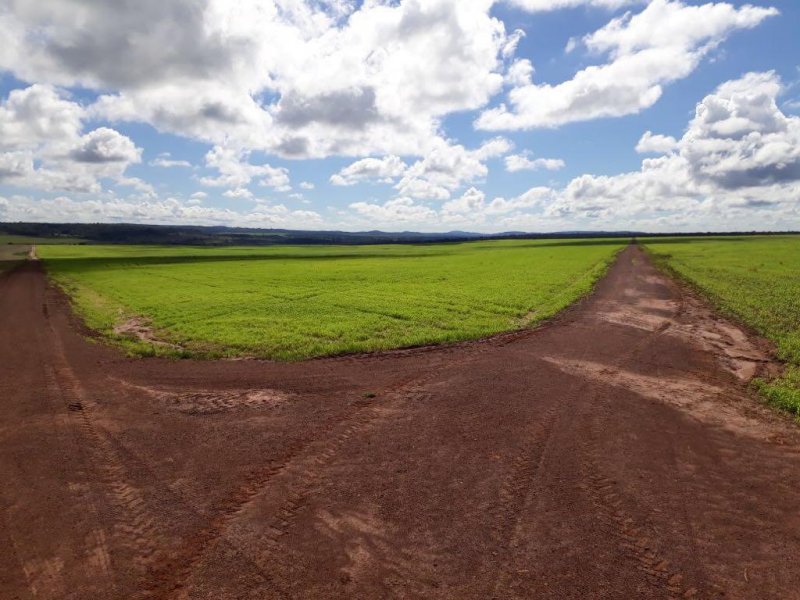 Fazenda - Venda - Zona Rural - Paranatinga - MT