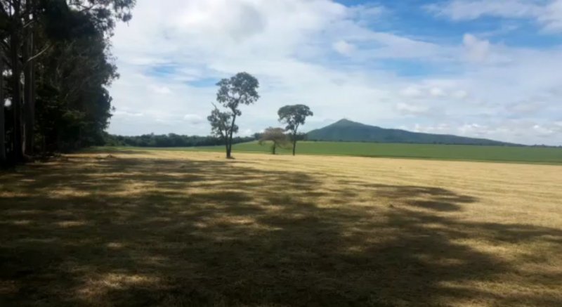 Fazenda - Venda - Zona Rural - Morro da Gara - MG