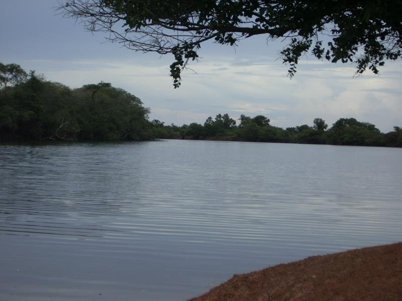 Fazenda - Venda - rea Rural de Cuiab - Cuiab - MT