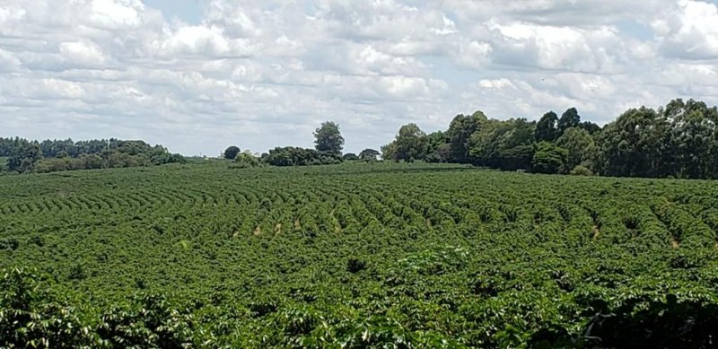 Fazenda - Venda - Zona Rural - Medeiros - MG