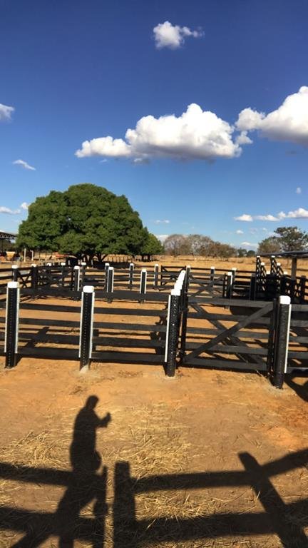 Fazenda - Venda - Zona Rural - Arinos - MG