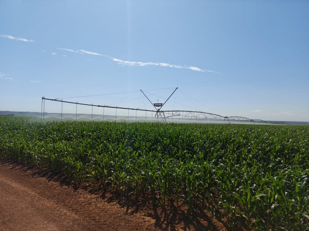 Fazenda - Venda - Zona Rural - Ipameri - GO