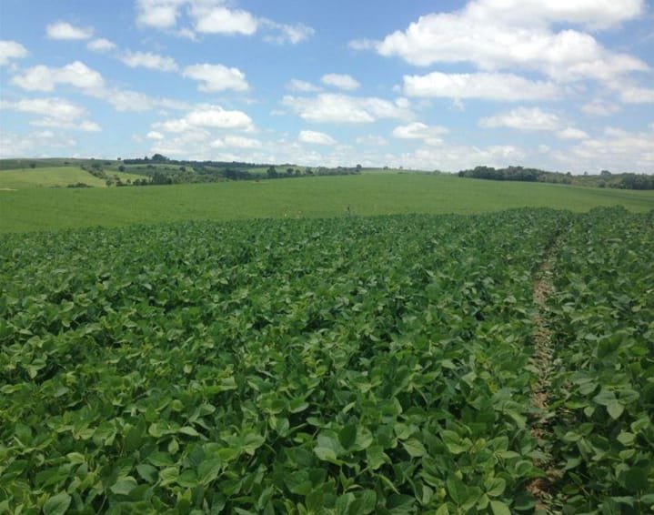 Fazenda - Venda - rea Rural de Itapetininga - Itapetininga - SP