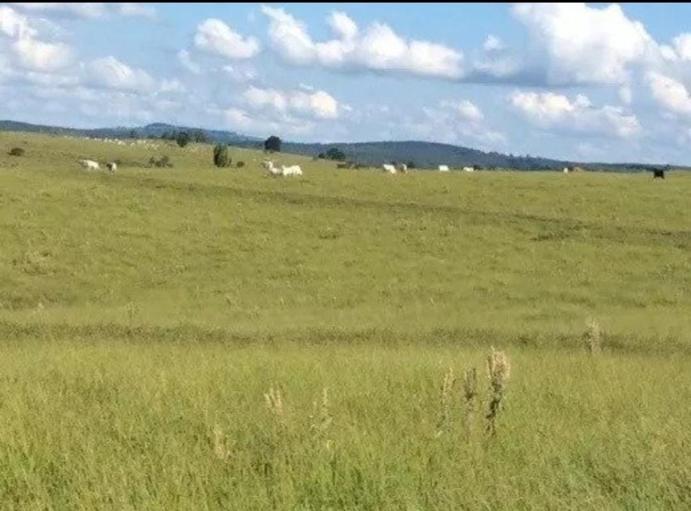 Fazenda - Venda - rea Rural de Botucatu - Botucatu - SP