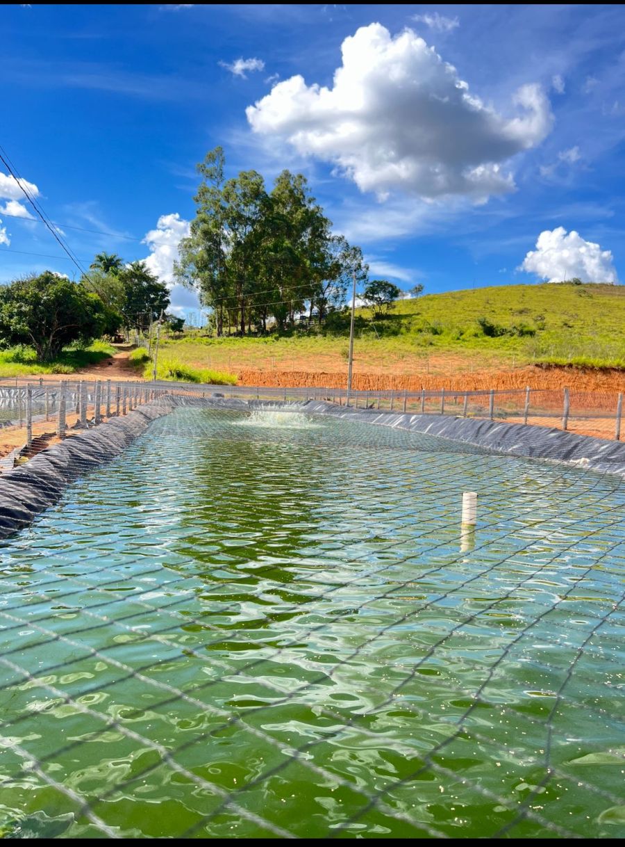 Fazenda - Venda - Zona Rural - Oliveira - MG