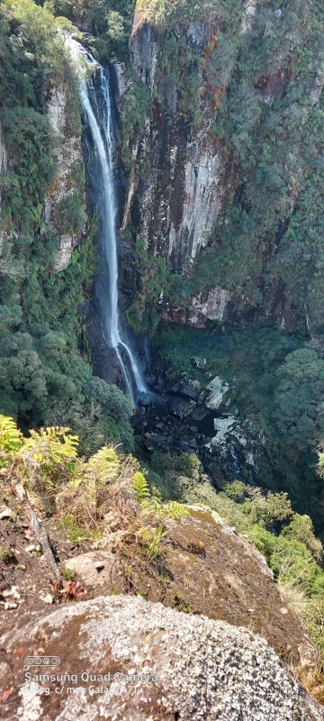 Fazenda - Venda - Zona Rural - Morrinhos do Sul - RS