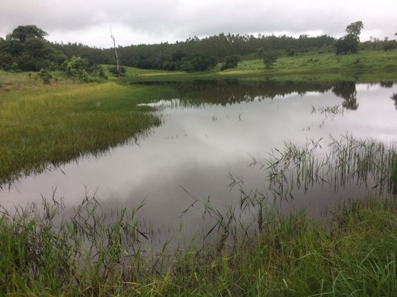 Fazenda - Venda - Zona Rural - Montalvnia - MG