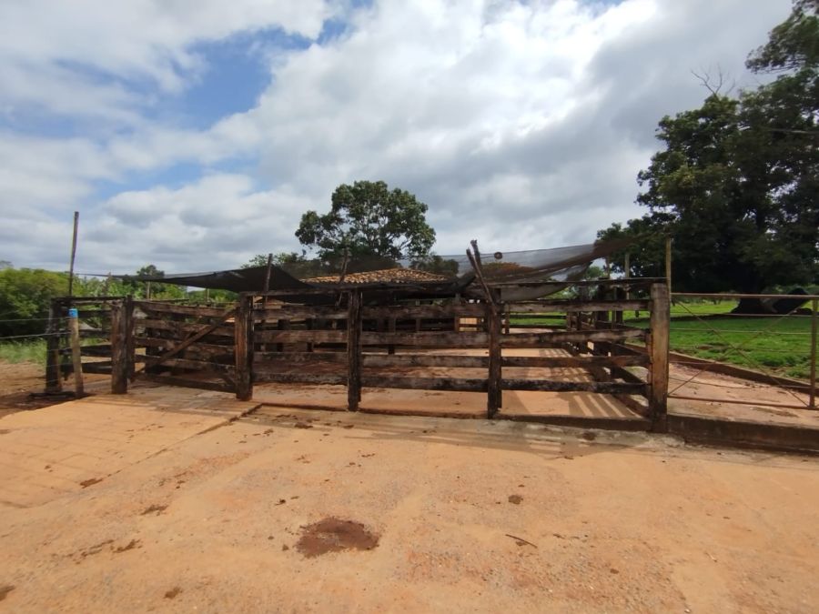 Fazenda - Venda - Área Rural de Curvelo - Curvelo - MG