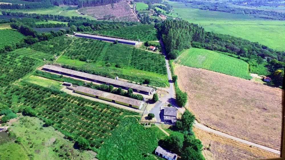 Fazenda - Venda - rea Rural de Sorocaba - Sorocaba - SP