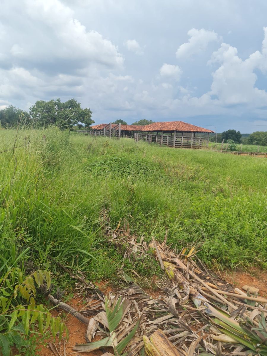 Fazenda - Venda - Zona Rural - Morro da Gara - MG