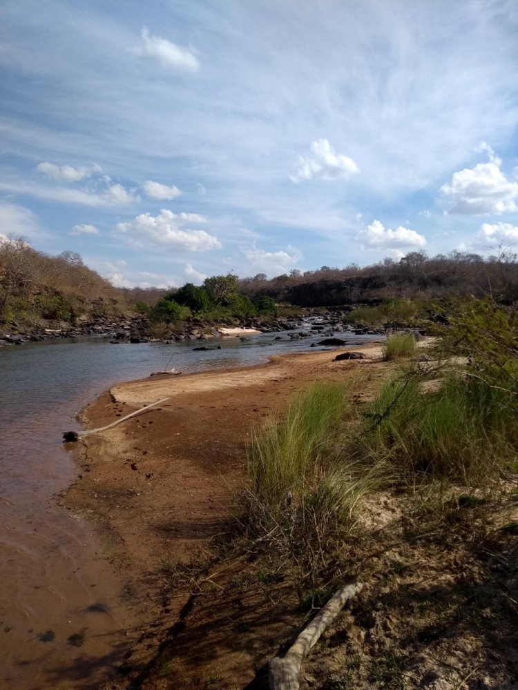 Fazenda - Venda - Zona Rural - Brasilndia de Minas - MG