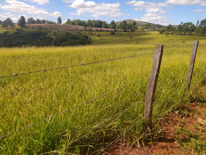 Fazenda - Venda - Zona Rural - Passa Tempo - MG