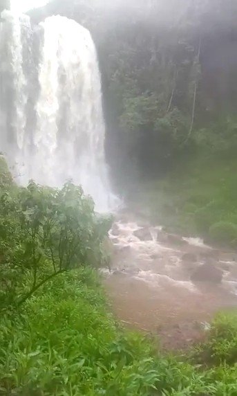 Fazenda - Venda - Zona Rural - Itamogi - MG