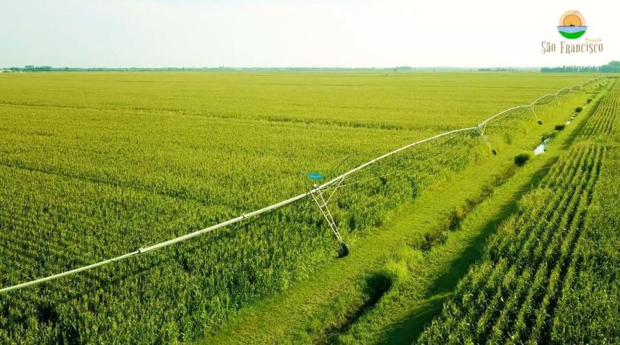 Fazenda - Venda - Zona Rural - So Francisco - MG