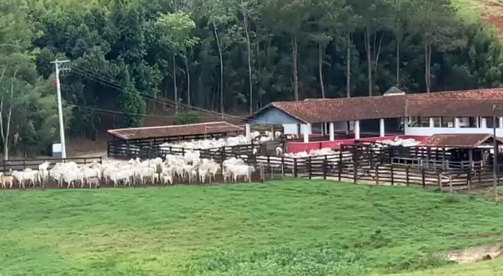 Fazenda - Venda - rea Rural de Aparecida - Aparecida - SP