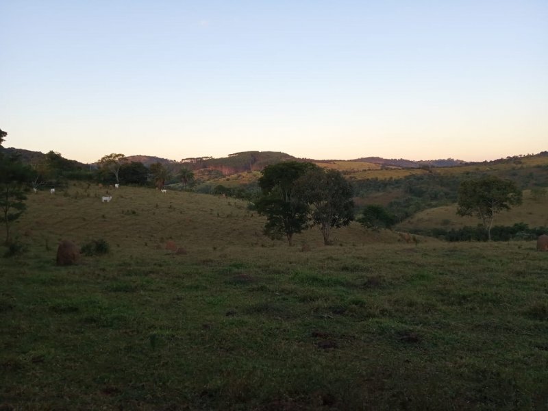 Fazenda - Venda - Zona Rural - Oliveira - MG