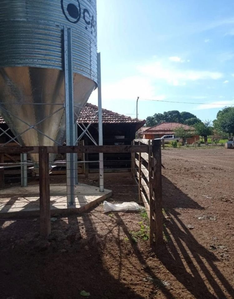 Fazenda - Venda - Zona Rural - Natalndia - MG