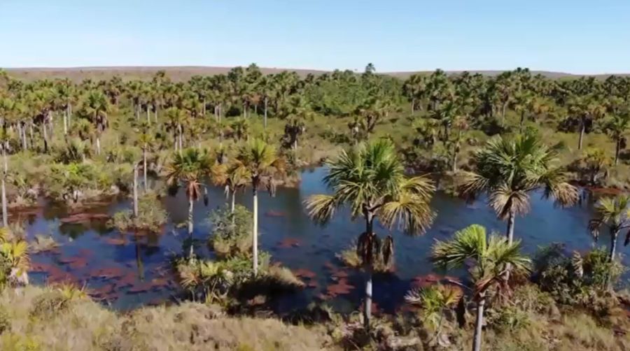 Fazenda - Venda - Zona Rural - Santa F de Minas - MG