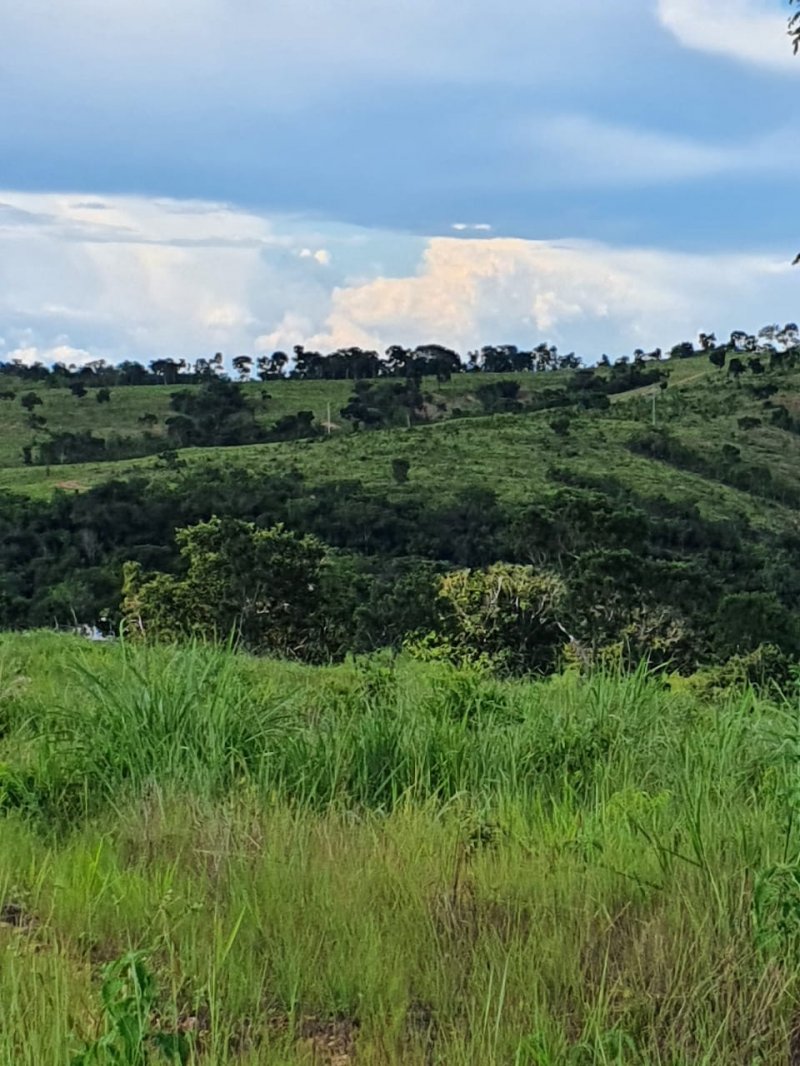 Fazenda - Venda - rea Rural de Curvelo - Curvelo - MG