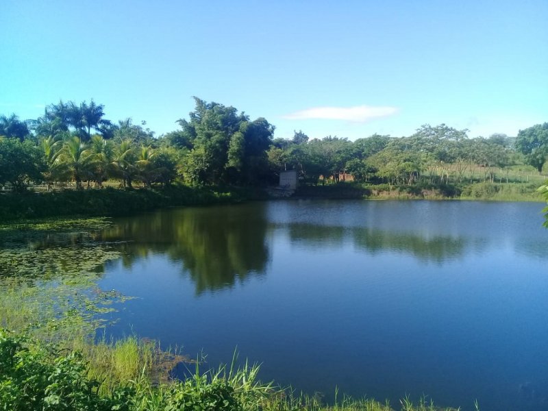 Fazenda - Venda - Zona Rural - Campo Azul - MG