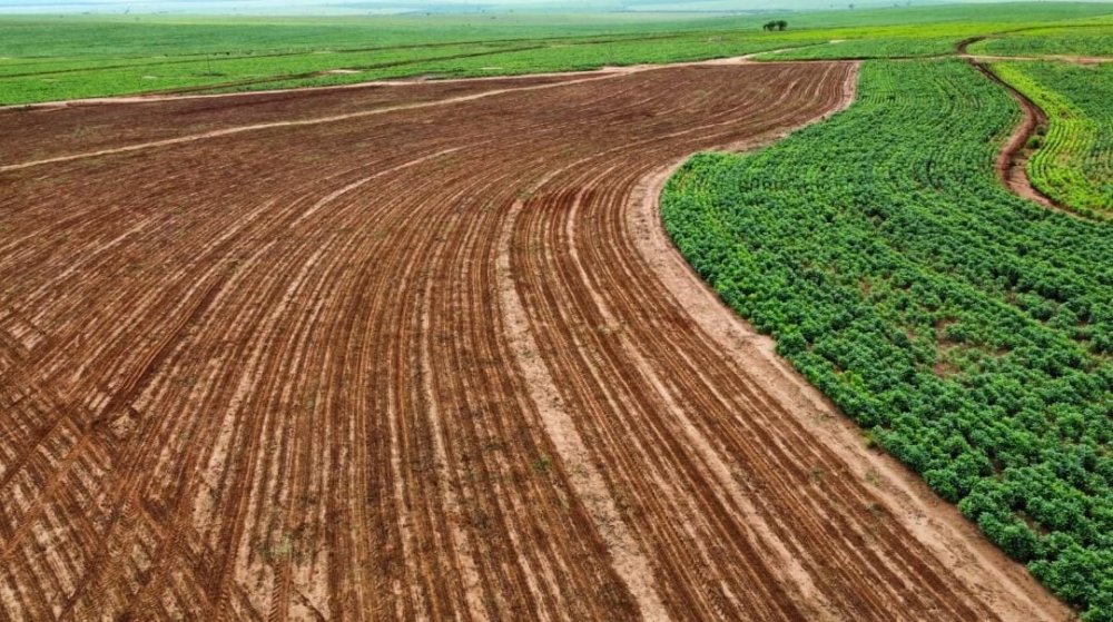 Fazenda - Venda - rea Rural de Presidente Prudente - Presidente Prudente - SP