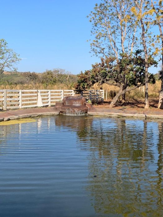 Fazenda - Venda - �rea Rural de Curvelo - Curvelo - MG