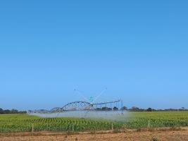 Fazenda - Venda - Zona Rural - So Romo - MG