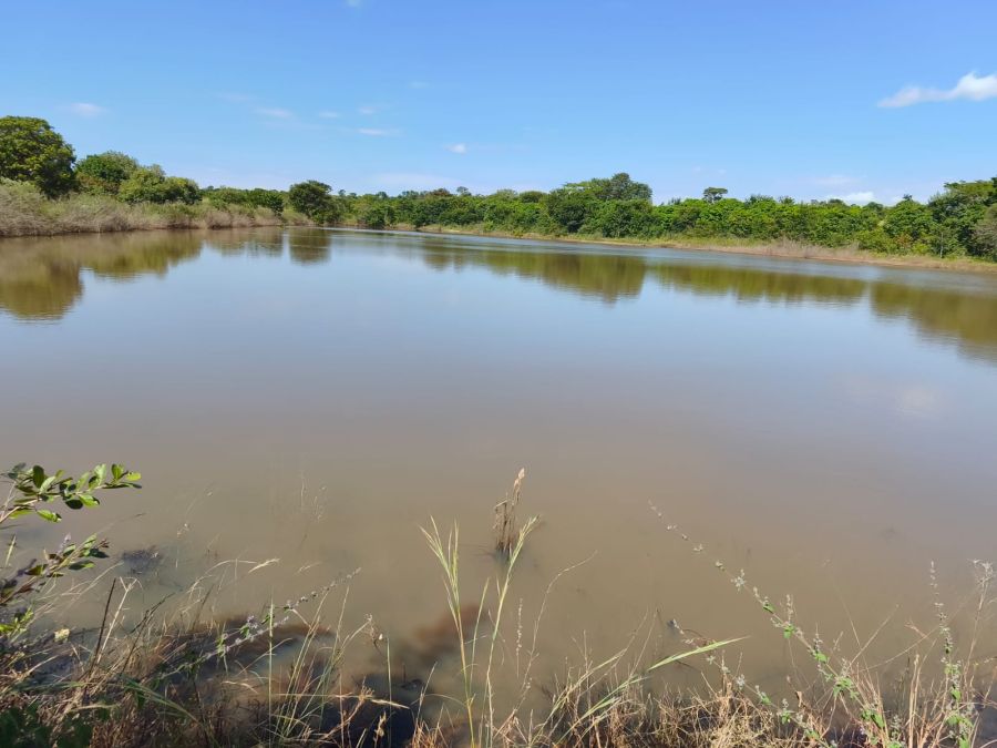 Fazenda - Venda - Zona Rural - Morro da Gar�a - MG