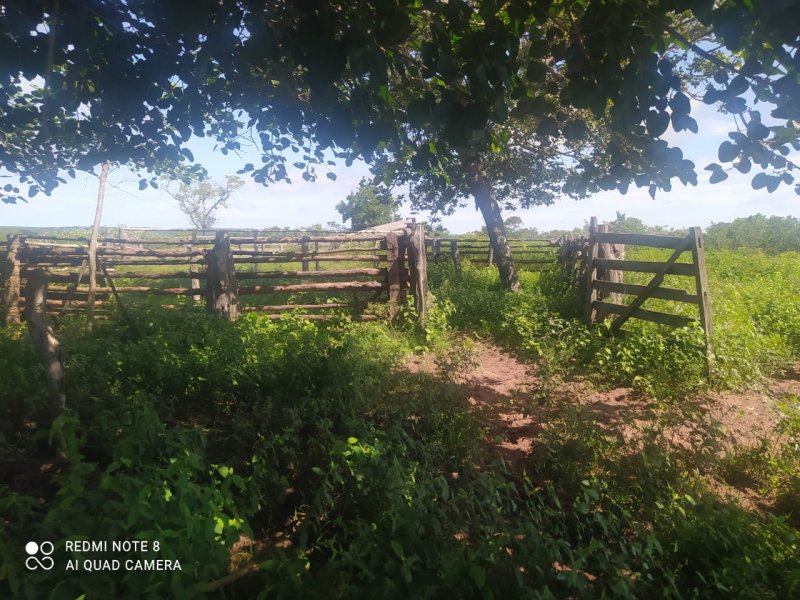Fazenda - Venda - Zona Rural - Buritizeiro - MG