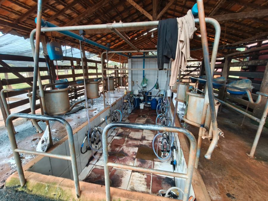Fazenda - Venda - Zona Rural - Felixl�ndia - MG