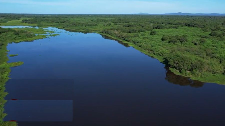 Fazenda - Venda - Zona Rural - Pedras de Maria da Cruz - MG